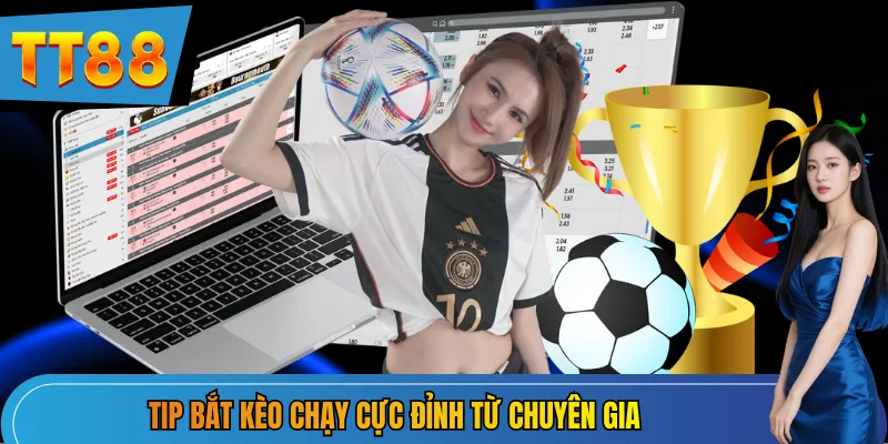 Tip bắt kèo rung cực đỉnh từ chuyên gia